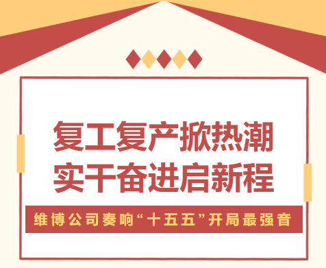 復(fù)工復(fù)產(chǎn)掀熱潮 實(shí)干奮進(jìn)啟新程 —— 維博公司奏響 “十五五” 開(kāi)局最強(qiáng)音